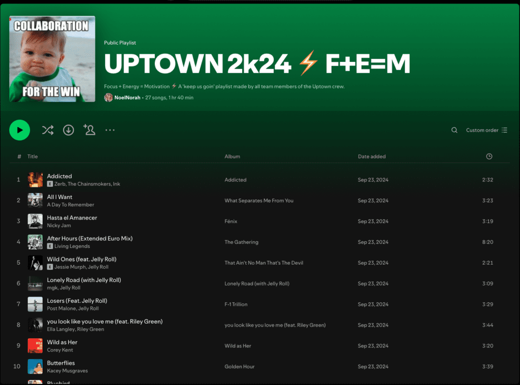 A screenshot of a spotify playlist